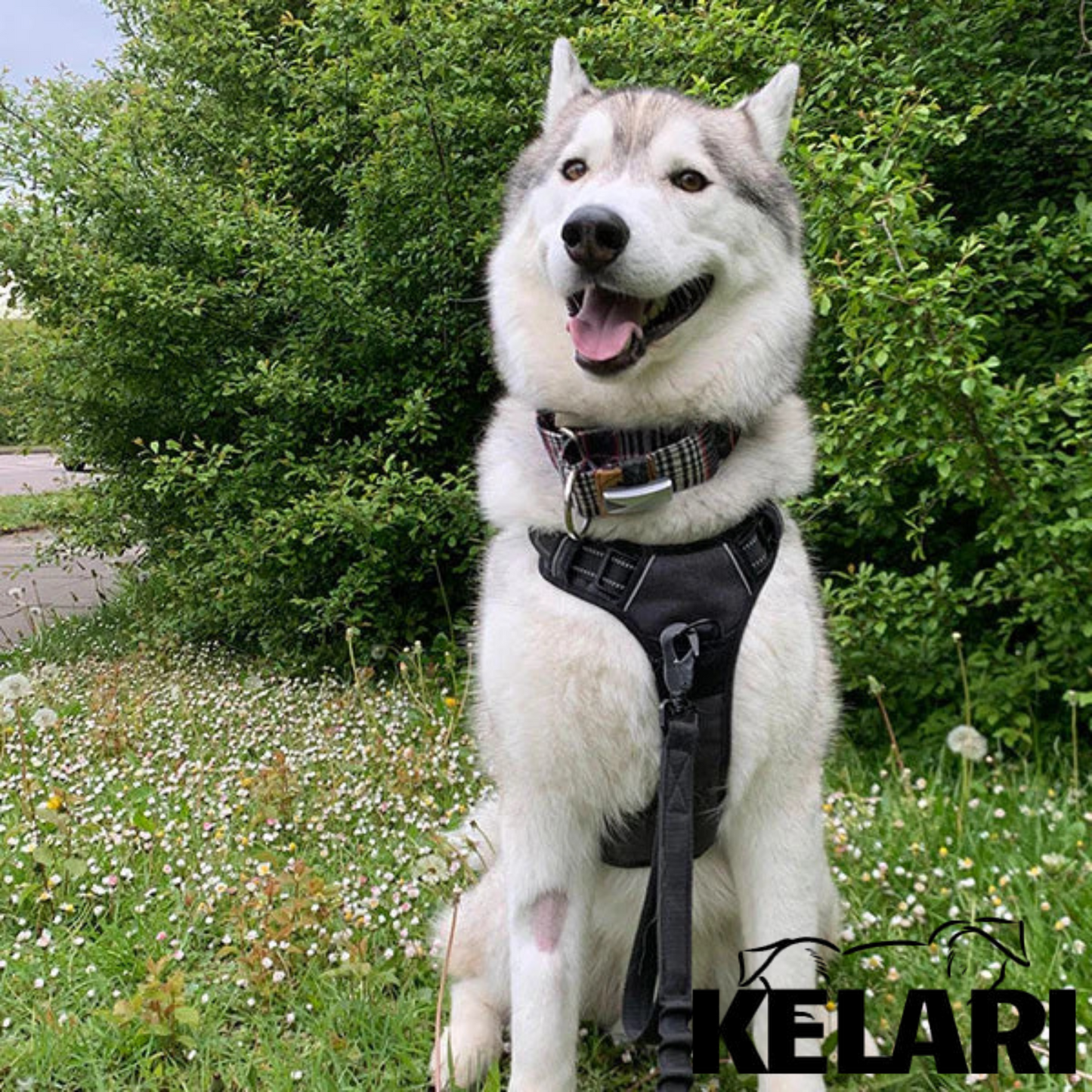 Szelki dla psa z uchwytem – BEZ CIĄGNIĘCIA - Kelari™