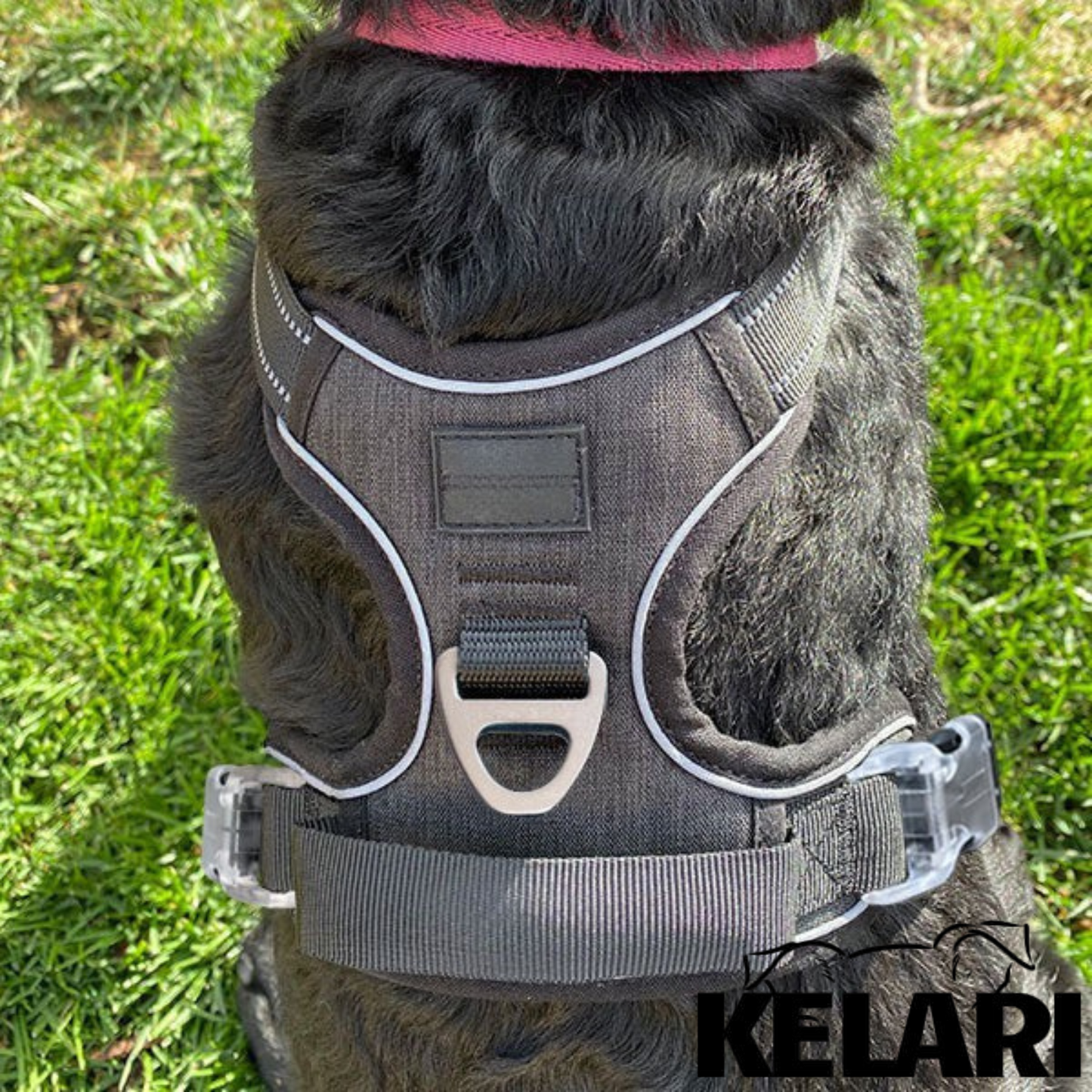 Szelki dla psa z uchwytem – BEZ CIĄGNIĘCIA - Kelari™