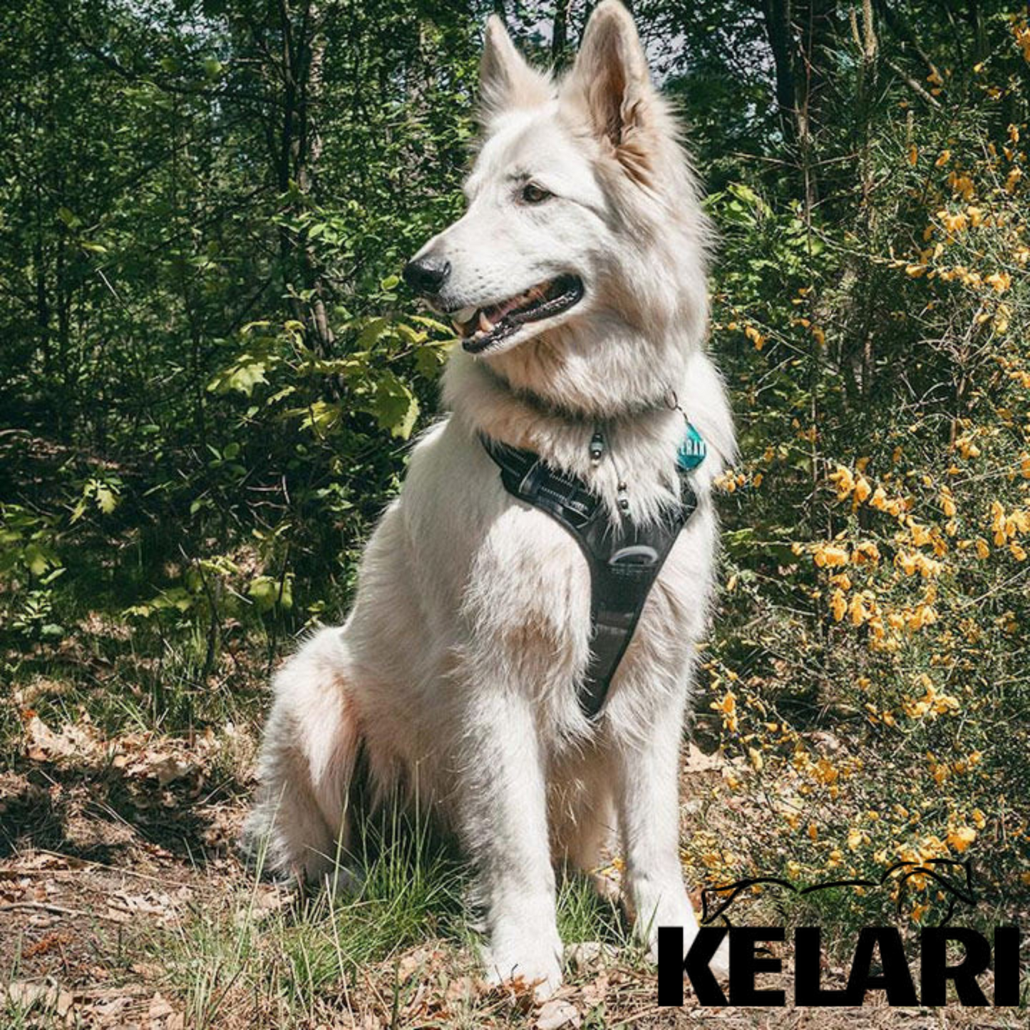 Szelki dla psa z uchwytem – BEZ CIĄGNIĘCIA - Kelari™