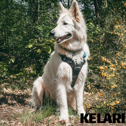 Szelki dla psa z uchwytem – BEZ CIĄGNIĘCIA - Kelari™