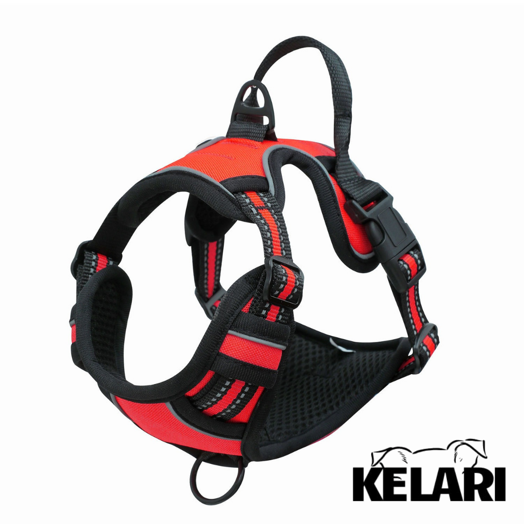 Szelki dla psa z uchwytem – BEZ CIĄGNIĘCIA - Kelari™